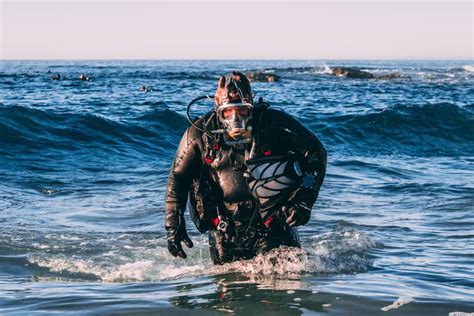 Beach cities scuba - The Skin Diver course teaches you the safety of freedivers and the ability to dive down into the water with your buddy. Located in sunny Orange County, CA!